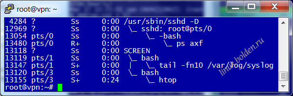 Screen не зависит от login shell